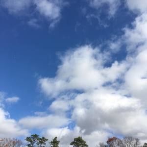 Meet your Posher, Liang